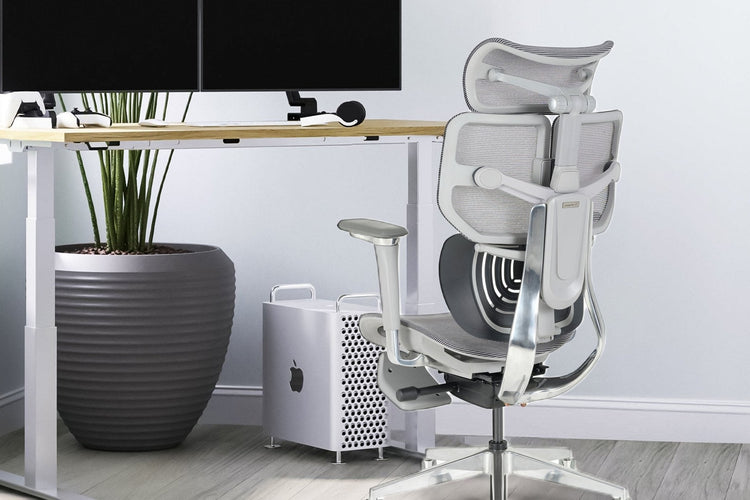 What to look for in a good Ergonomic Chair for home office or gaming - Shappa