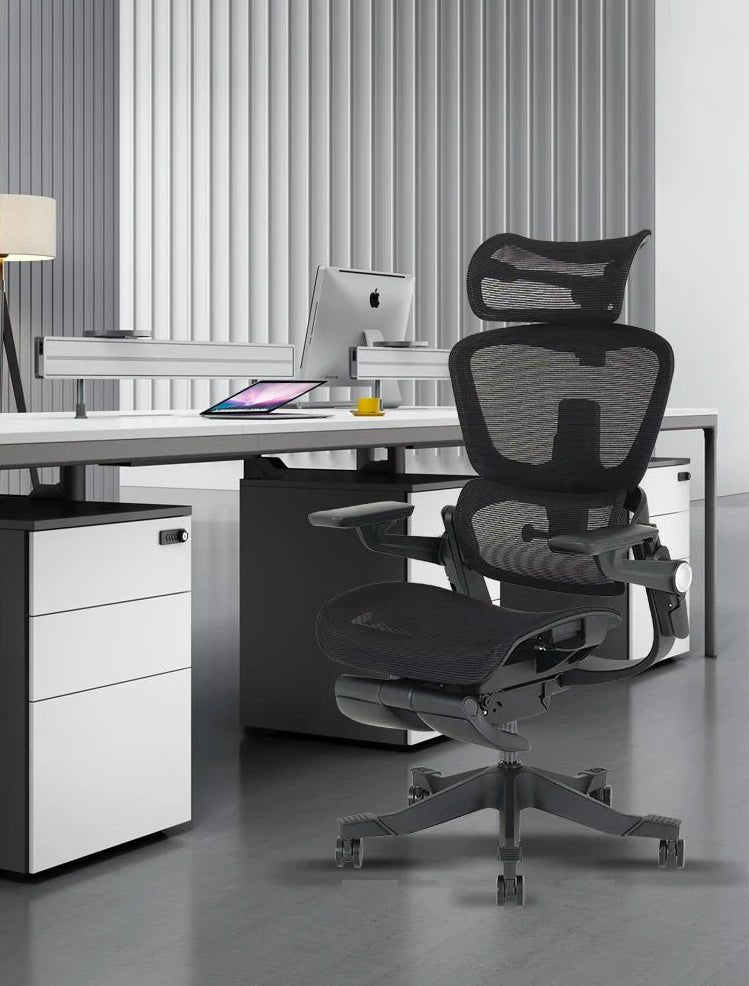 The Ultimate Guide to the Best Shappa Mesh Ergonomic Chair in 2024 - Shappa