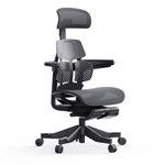 Shappa Paddy Chair(Ergonomic Correction) - Shappa