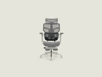 Shappa Spencer ergonomic mesh office chair with headrest and footrest, grey - front view