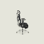 Spencer Ergonomic Chair - Shappa