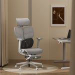 Spencer Ergonomic Chair