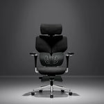 Spencer Ergonomic Chair