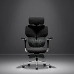 Spencer Ergonomic Chair