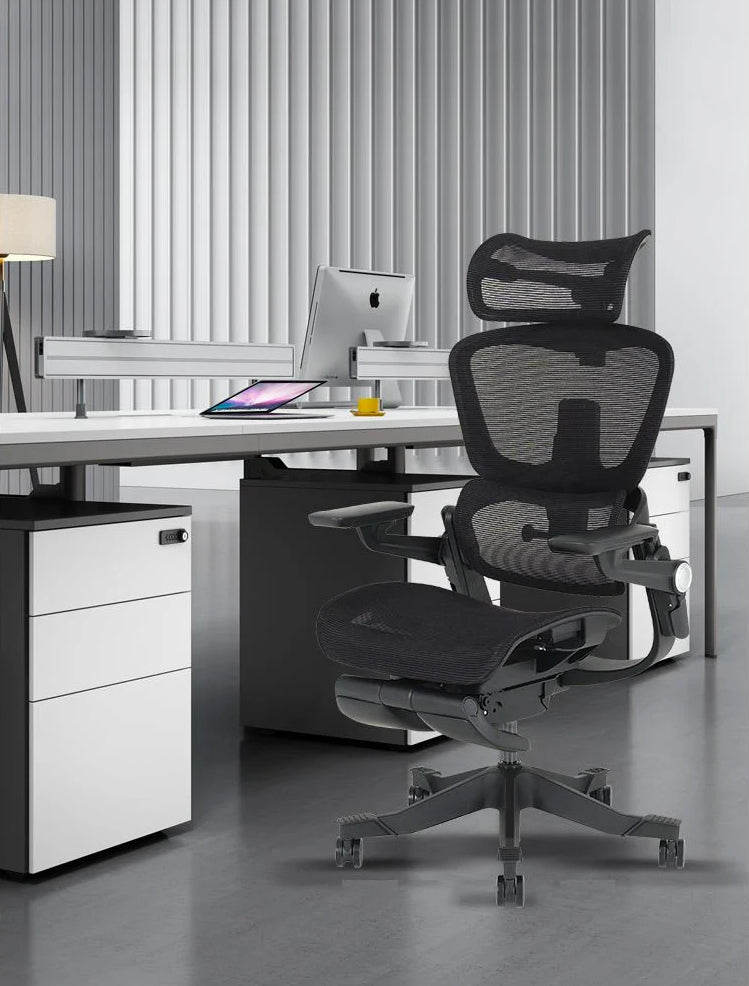The Ultimate Guide to the Best Shappa Mesh Ergonomic Chair in 2026