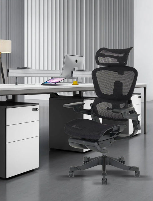 The Ultimate Guide to the Best Shappa Mesh Ergonomic Chair in 2026