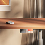 MO2 - Electric Stand Up Desk Frame - Oval tube - Shappa