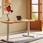 MO2 - Electric Stand Up Desk Frame - Oval tube - Shappa