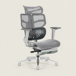 Spencer Ergonomic Chair