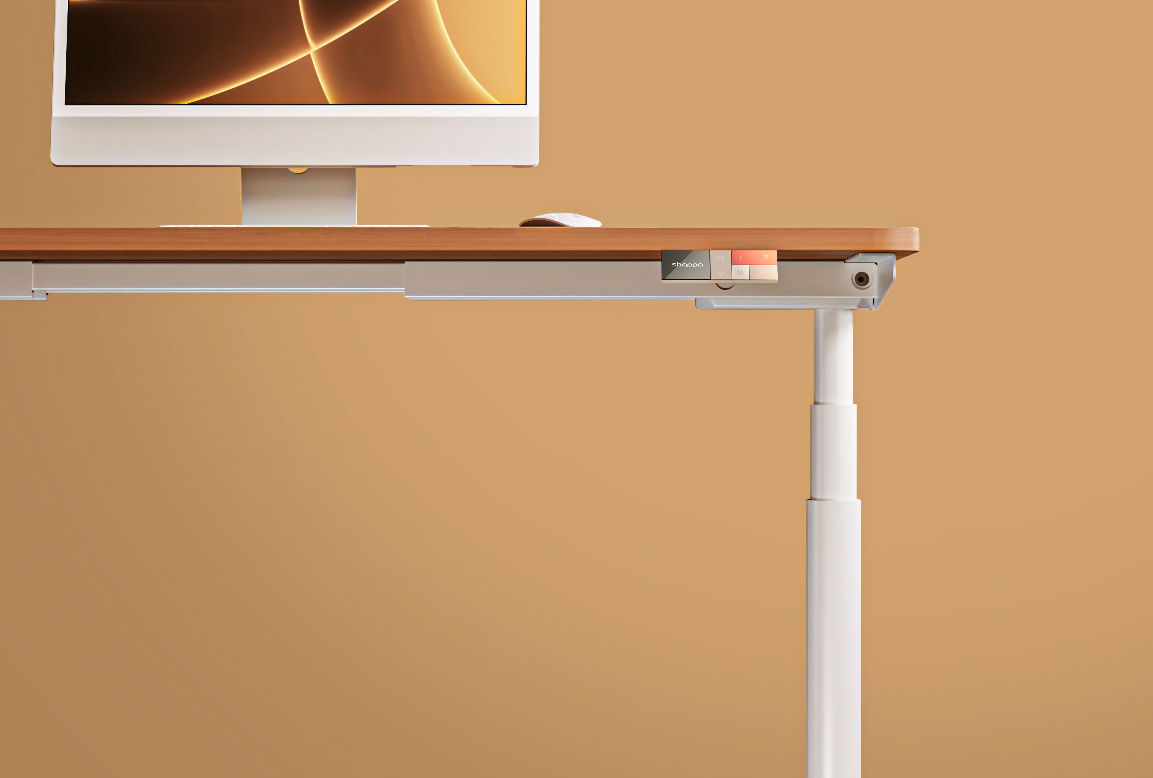 MO2 - Electric Stand Up Desk Frame - Oval tube - Shappa