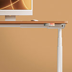MO2 - Electric Stand Up Desk Frame - Oval tube - Shappa