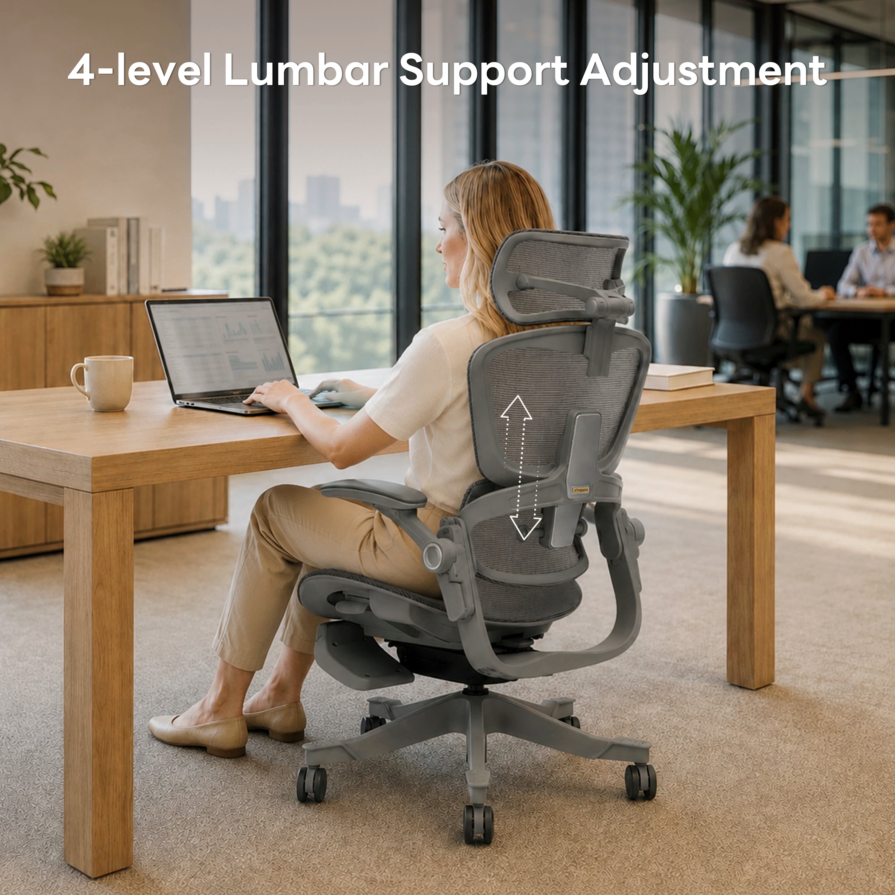 Shappa Smile Pro ergonomic chair 4-level lumbar support