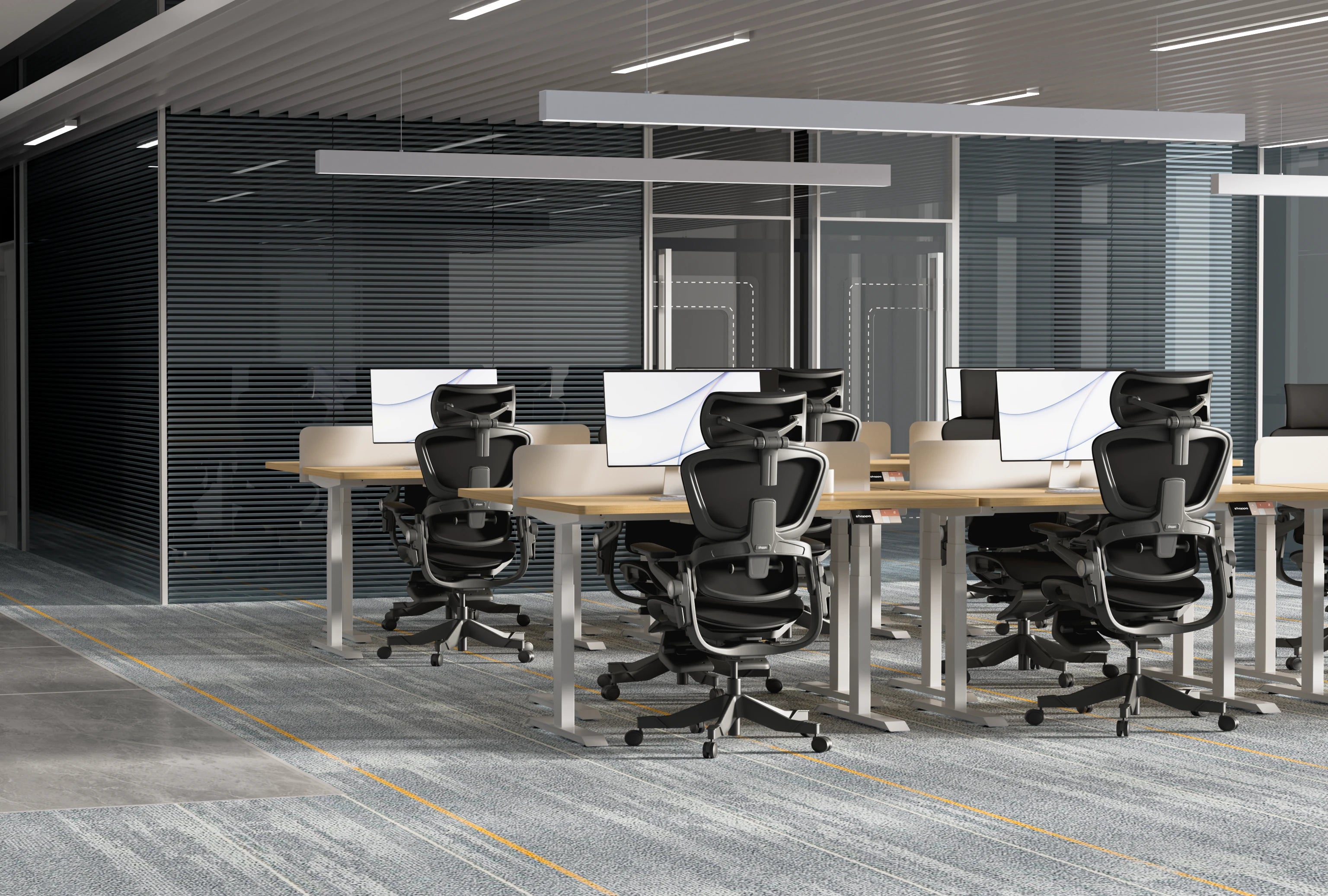 Shappa MS2 electric standing desks in a corporate open-plan office, paired with Shappa Smile ergonomic chairs