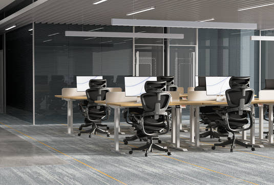 Shappa MS2 electric standing desks in a corporate open-plan office, paired with Shappa Smile ergonomic chairs