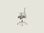 A19 Office Chair