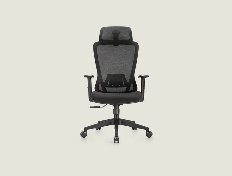 Shappa A7 ergonomic office chair with adjustable lumbar support and 2D headrest