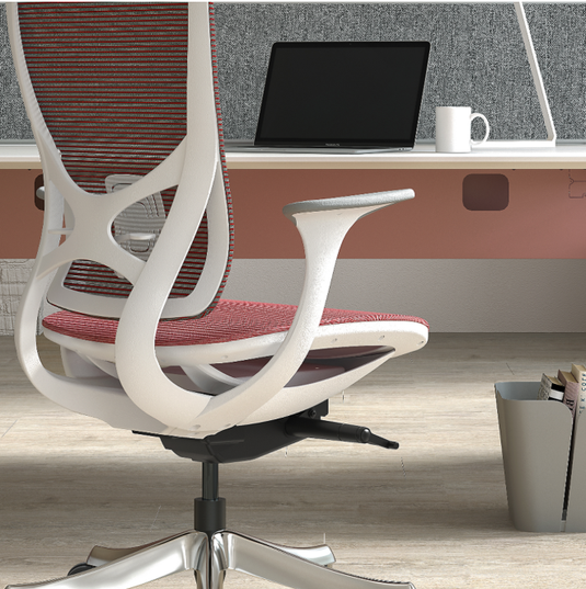 Shappa H919 Mesh Ergonomic Chair