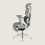Spencer Ergonomic Chair