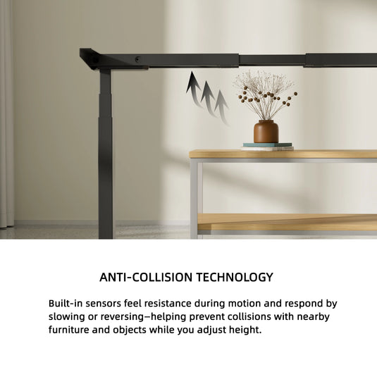 MO2 Electric Standing Desk