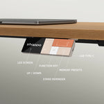 MO2 Electric Standing Desk