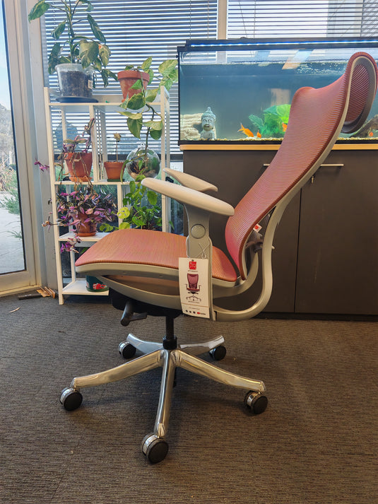 Shappa H919 Mesh Ergonomic Chair