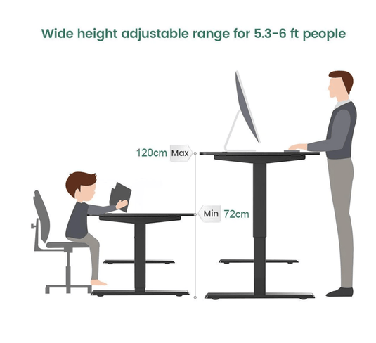 Maidesite T1 Basic - Electric Height-Adjustable Standing Desk Frame（Black） - Shappa