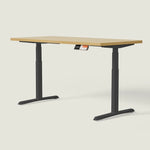 MO2 Desk - Oval tube - Shappa