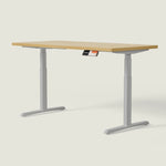 MO2 Electric Standing Desk