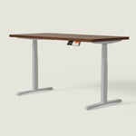 MO2 Desk - Oval tube - Shappa