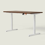 MO2 Desk - Oval tube - Shappa