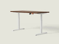 Shappa MO2 electric standing desk with walnut tabletop and white frame - dual motor oval tube angled studio shot