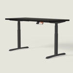MO2 Desk - Oval tube - Shappa