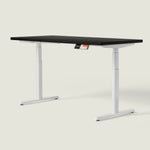 MO2 Desk - Oval tube - Shappa