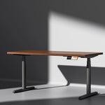 MO2 Electric Standing Desk