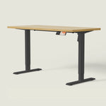 MS1 Desk - Shappa