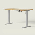 MS1 Desk - Shappa