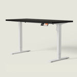 MS1 Desk - Shappa