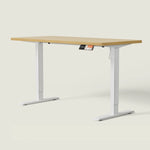 MS1 Desk - Shappa