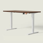 MS1 Desk - Shappa