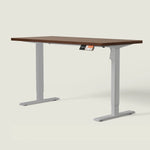 MS1 Desk - Shappa