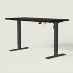 MS1 Desk - Shappa