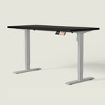 MS1 Desk - Shappa