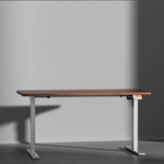 MS1  Desk Frame