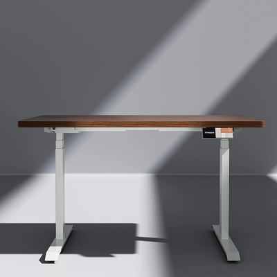 MS2 Electric Standing Desk