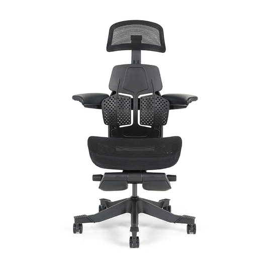 Shappa Paddy Chair（Ergonomic Correction)