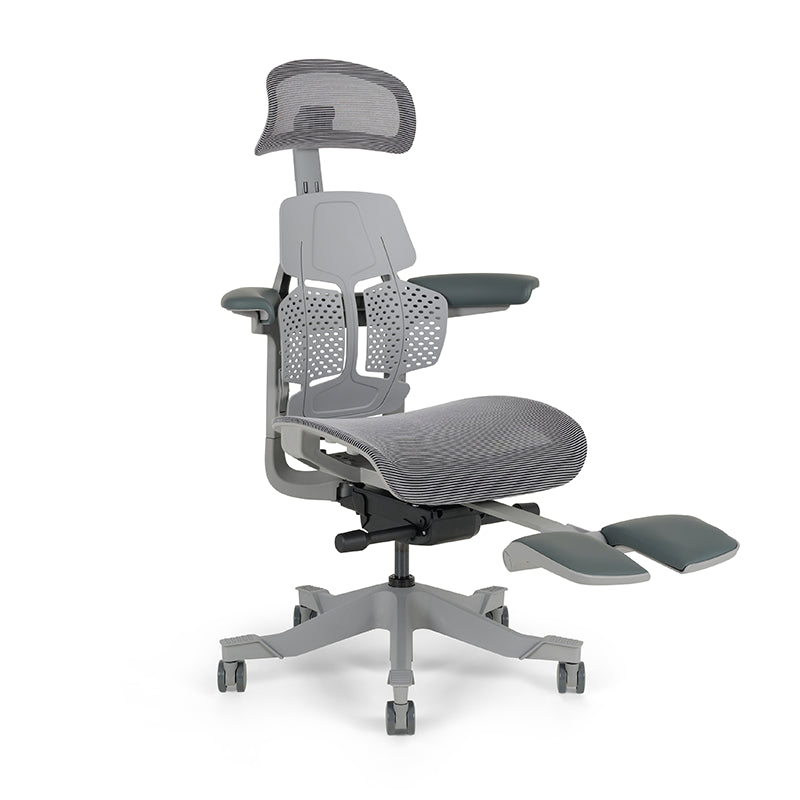 Shappa Paddy Chair（Ergonomic Correction)