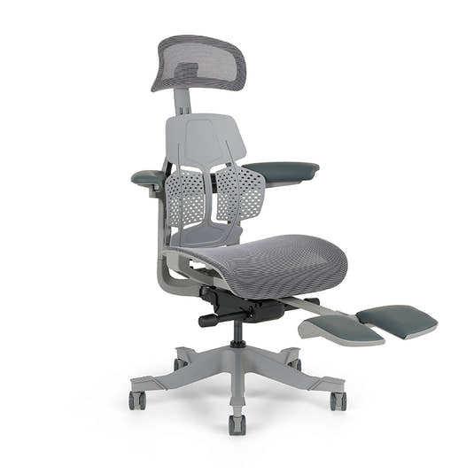 Shappa Paddy Chair（Ergonomic Correction)