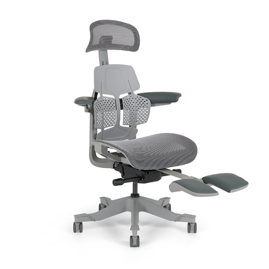 Shappa Paddy Chair（Ergonomic Correction)
