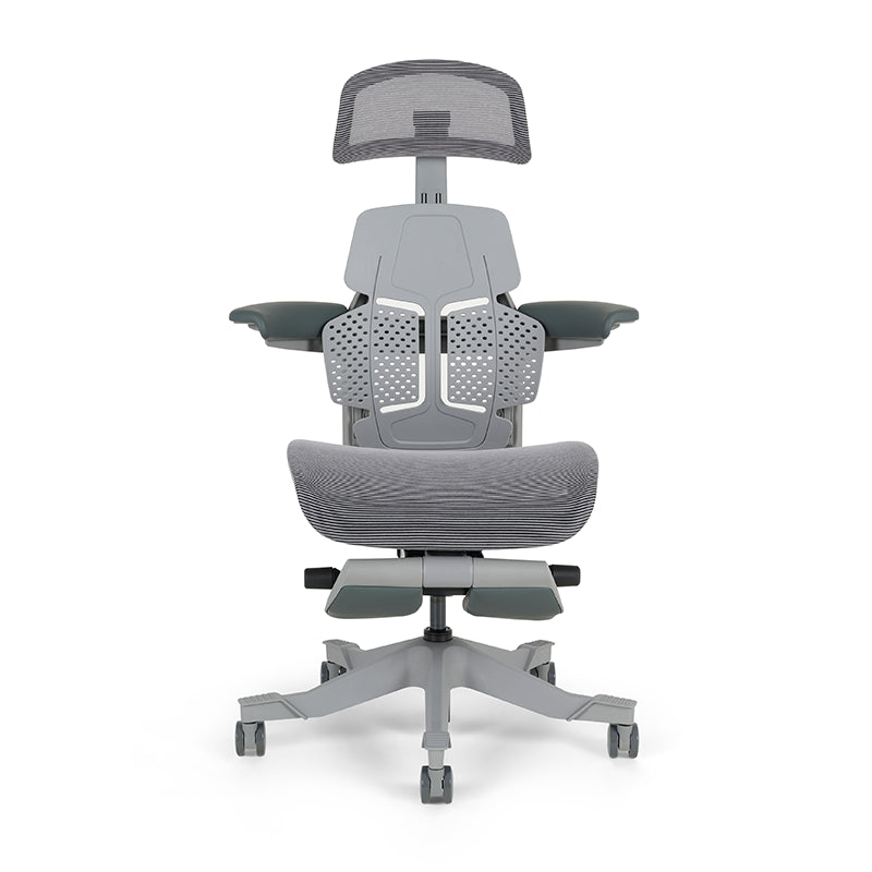 Shappa Paddy Chair（Ergonomic Correction)