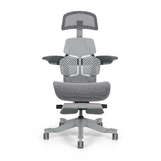 Shappa Paddy Chair（Ergonomic Correction)